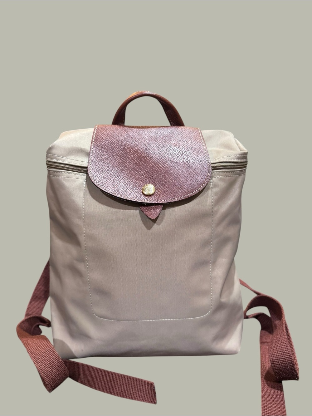 Longchamp Le Pliage Backpack